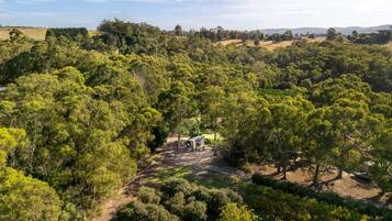 A remote cabin surrounded by dense forest, with a dirt path leading to it.