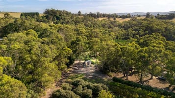A remote cabin surrounded by dense forest, with a dirt path leading to it.