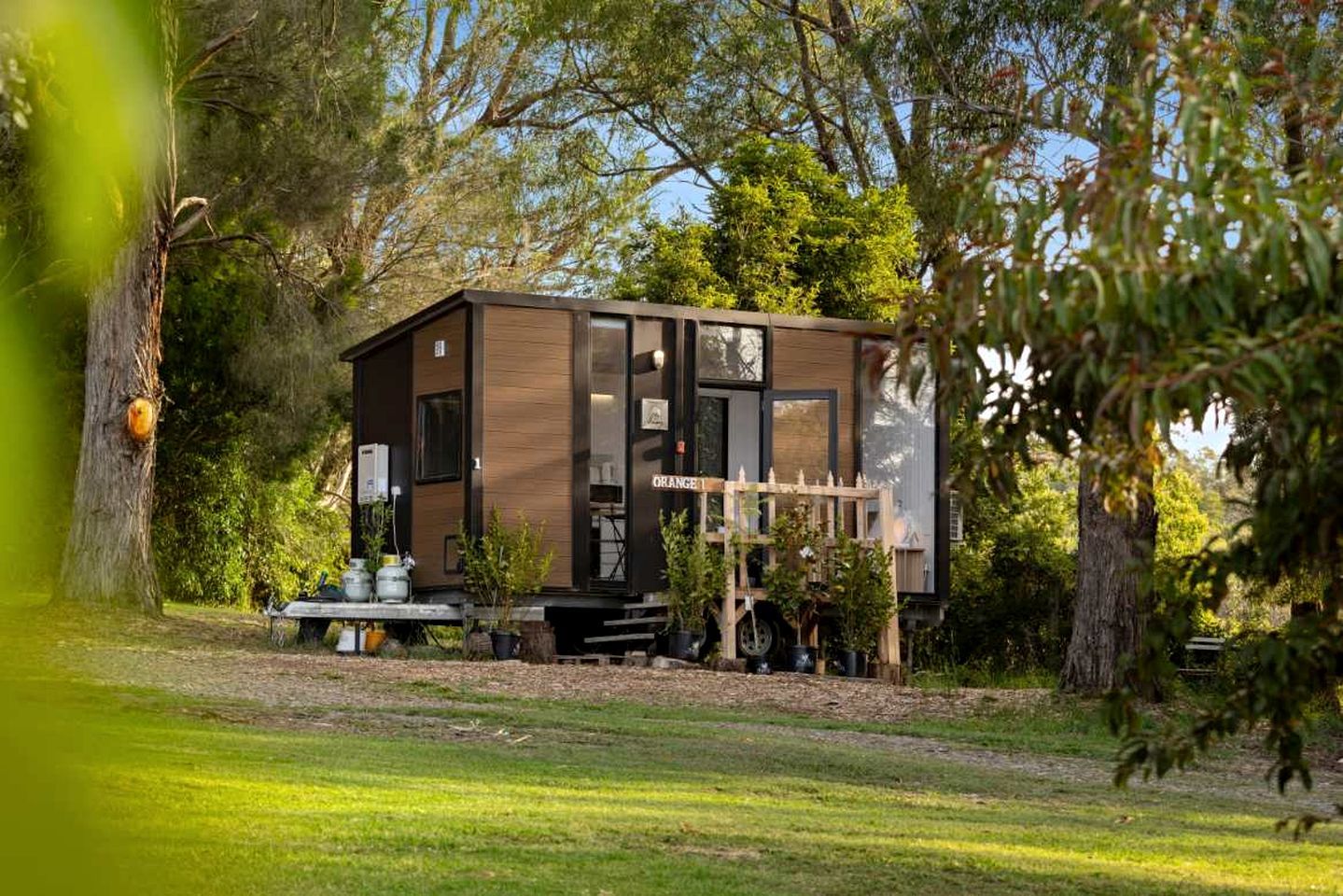 A modern, compact cabin with a flat roof, surrounded by lush greenery and trees.