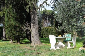 Zona d'estar a l'exterior amb taula i cadires, envoltada d'arbres i vegetació.