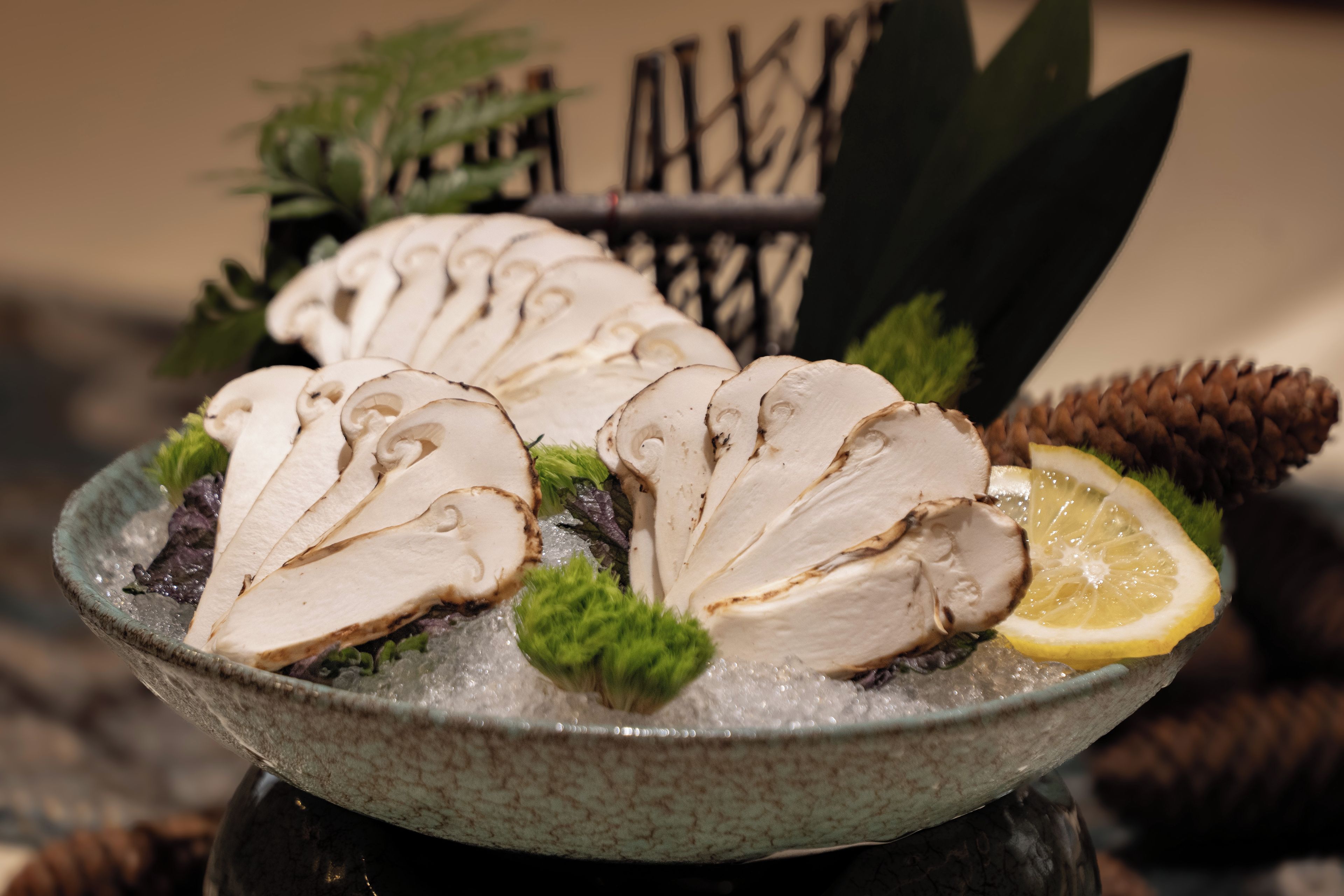 Un tazón de pechuga de pollo en rodajas sobre hielo con limón y vegetales verdes.