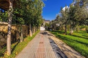 A paved pathway flanked by trees and a stone wall, leading to a building with a sloped roof. - Muraga Villas 6 | Sofra (Tiranë)