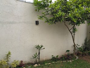 A textured wall with a small black mailbox, a tree, and various potted plants. - Alma Zen House - Comfort and beach (180m) Air Conditioning/Heated Pool (Guaratuba)