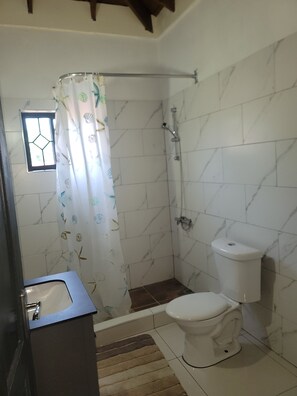 Un bagno con doccia, WC e lavandino.