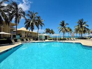 Ein klares, blaues Schwimmbecken, umgeben von Palmen und Liegestühlen, mit einem Gebäude im Hintergrund.