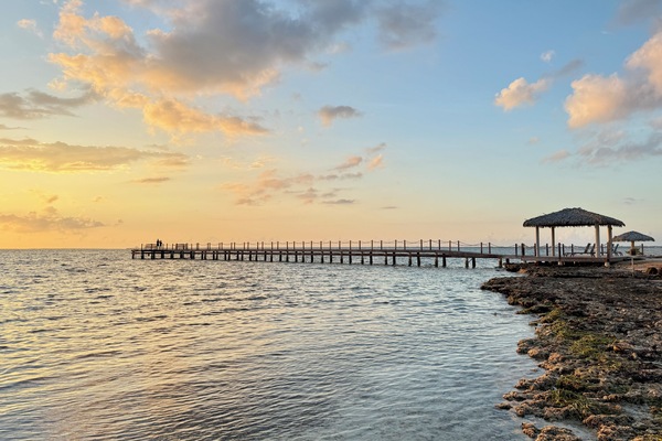 Wander along the rocky shore beside a serene pier.