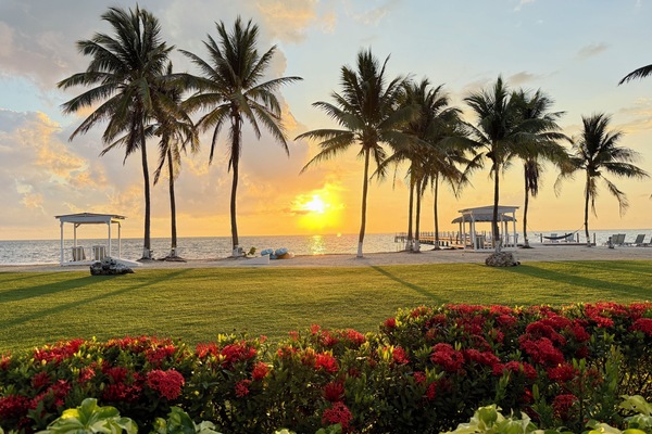 Unwind at sunset with palms, ocean breezes, and golden light.