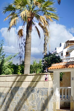 A stone wall with a palm tree and a building with a tiled roof.