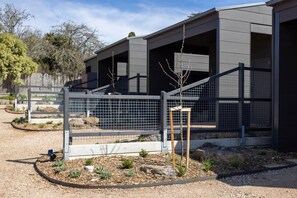 A modern building with a metal fence and a small tree in front.