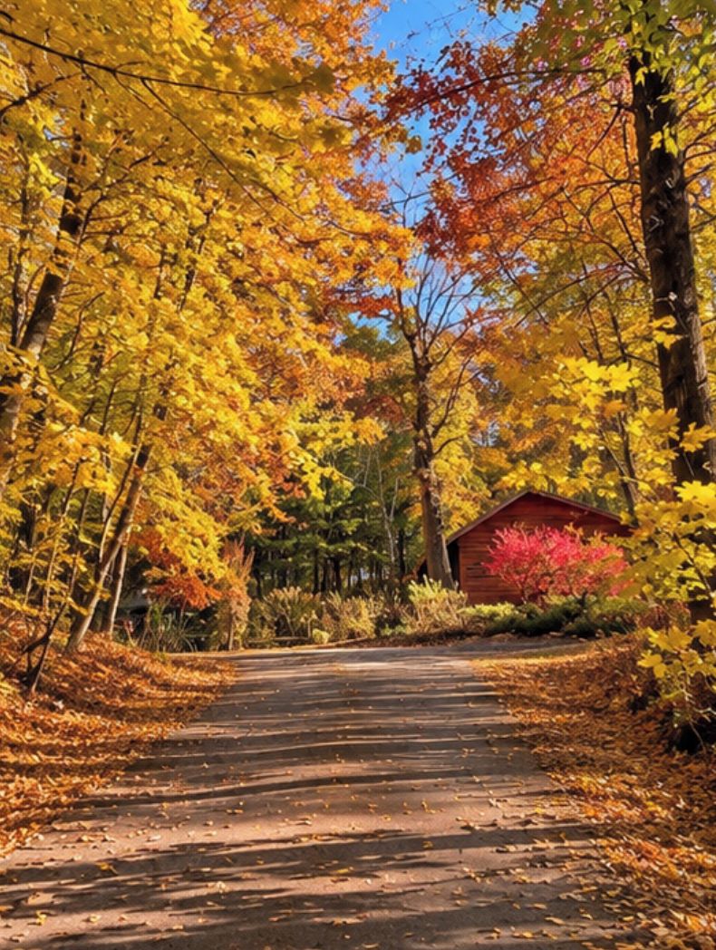 Un sendero pavimentado que atraviesa un bosque con follaje otoñal, un edificio rojo y un cielo azul despejado.