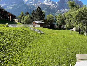 A grassy field with a small building and a mountain backdrop. - Charming apartment without equipment - 4 guests (Pralognan-la-Vanoise)