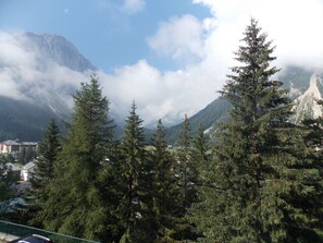 A mountainous landscape with dense coniferous trees and a clear sky. - Sunny apartment - 4 guests (Pralognan-la-Vanoise)