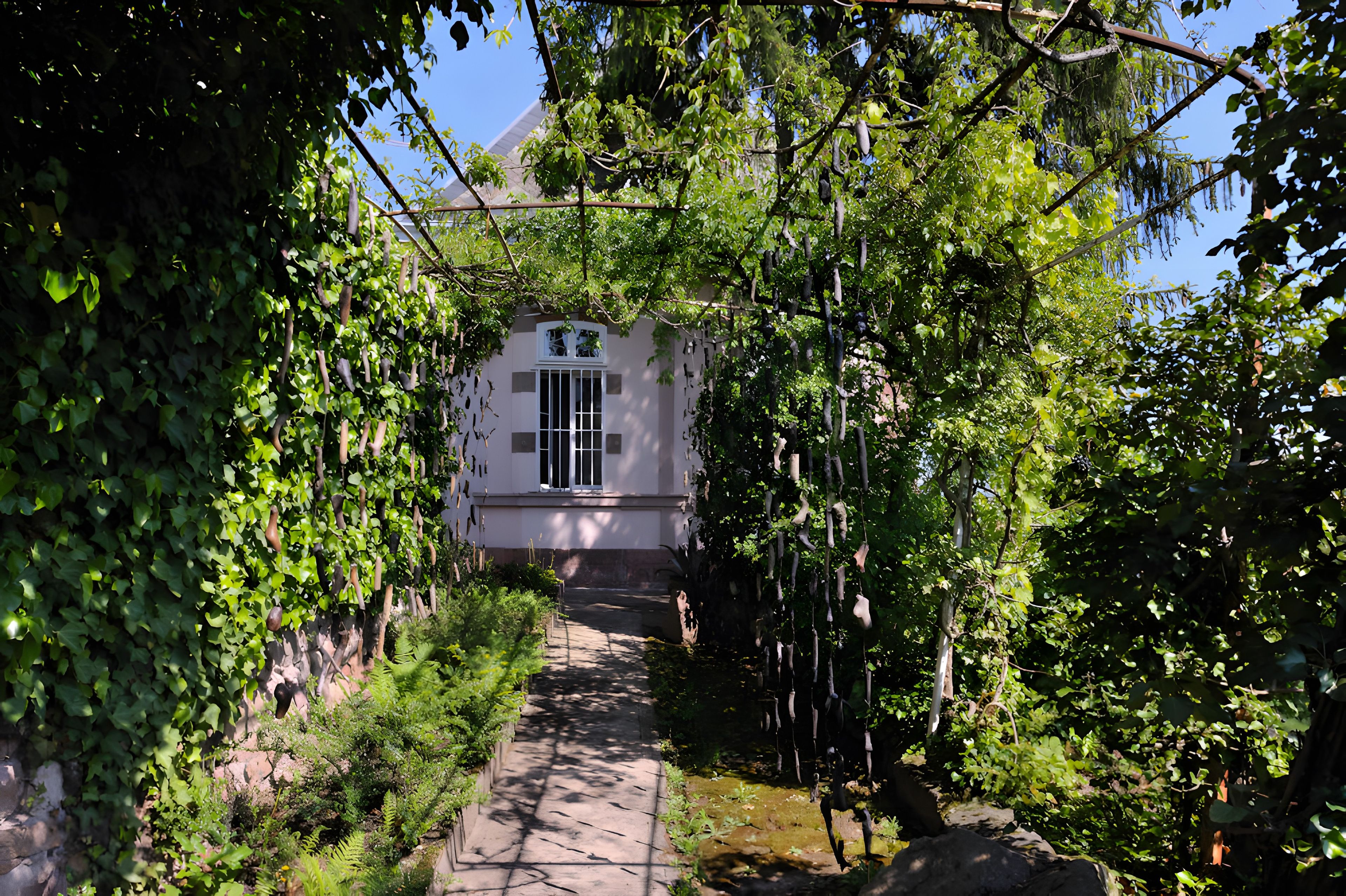 Un camino que conduce a un edificio con ventana y puerta, rodeado de follaje.