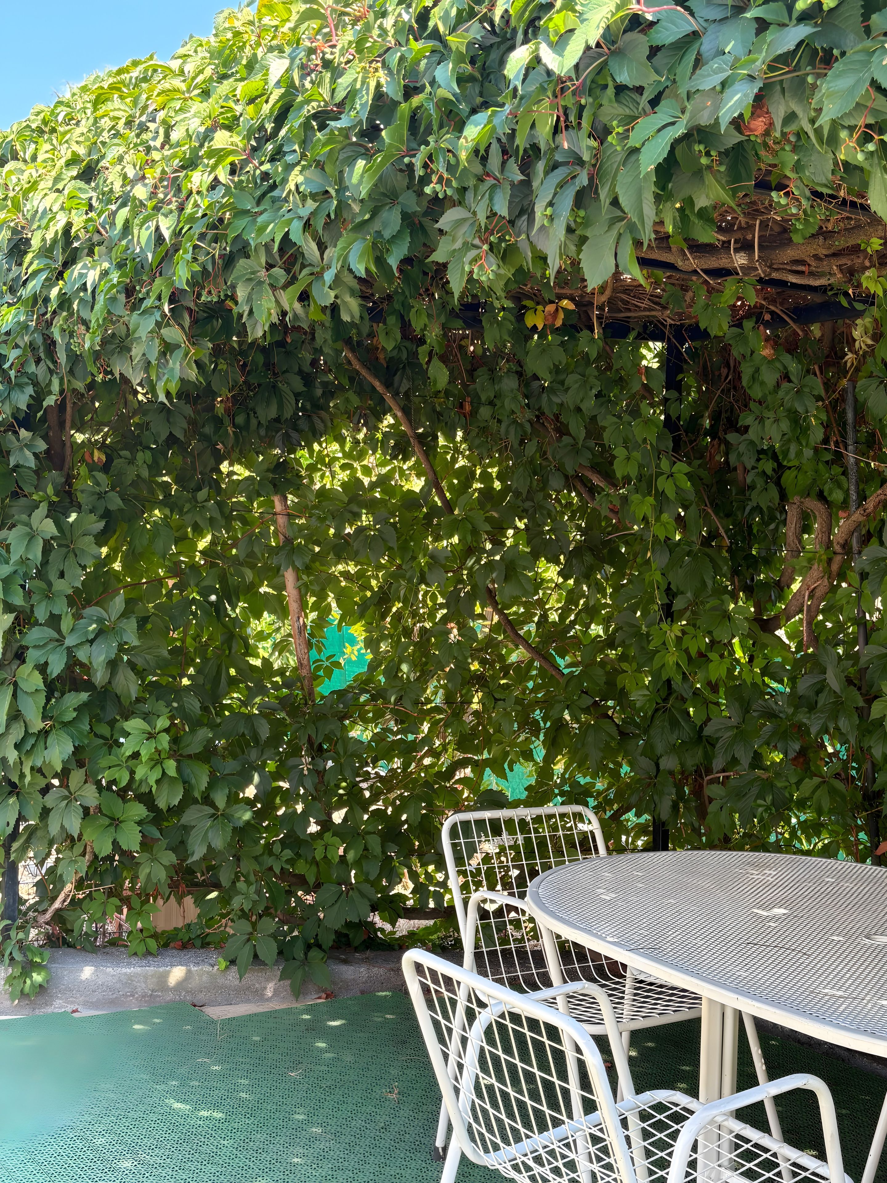 Une table et des chaises installées à l’extérieur, avec un sol en treillis vert, entourées d’un feuillage dense.