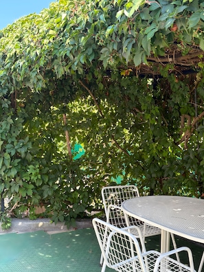 Ein Tisch mit Stühlen steht im Freien, mit einem grünen Mesh-Boden, umgeben von dichtem Grün.