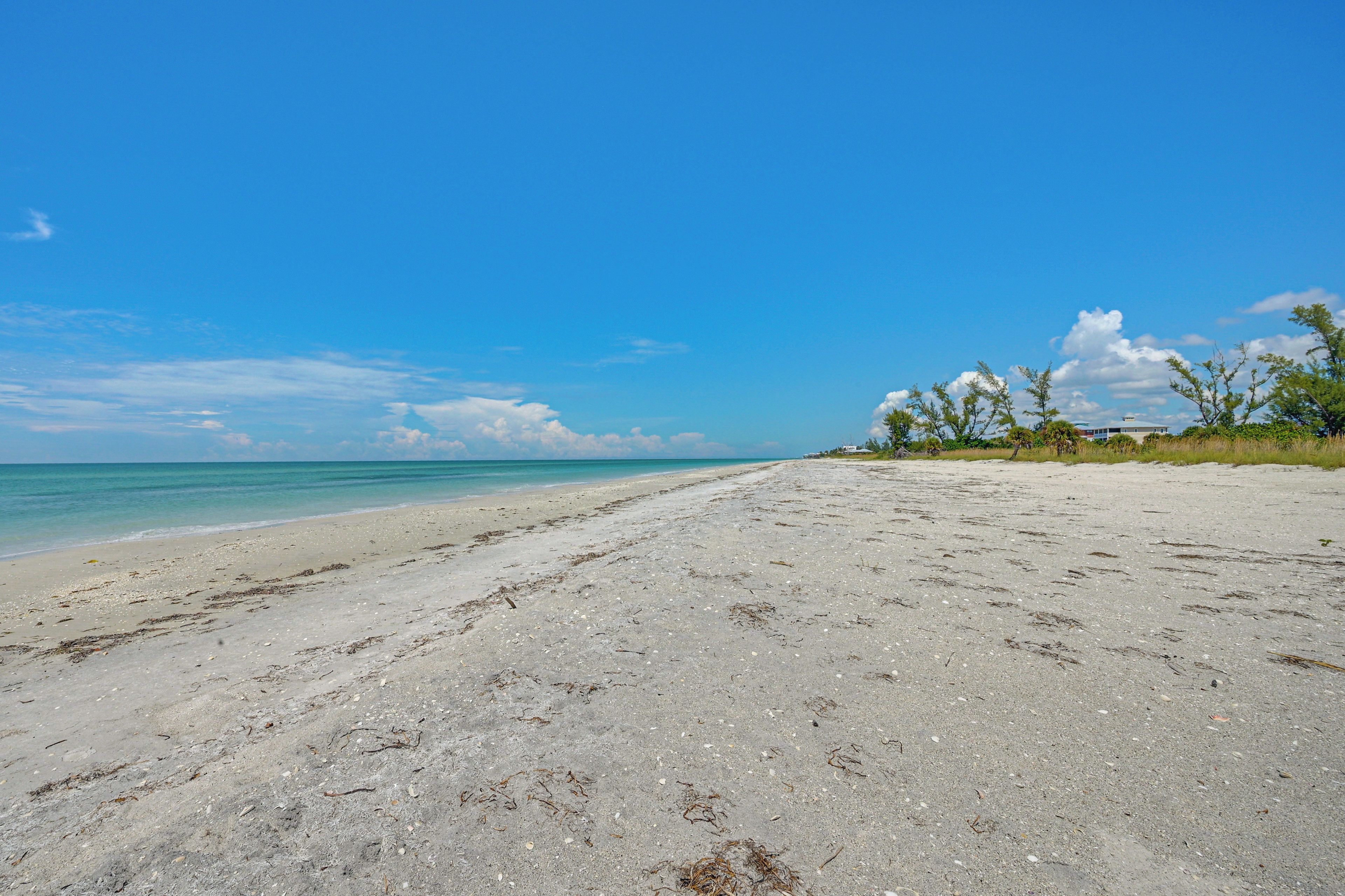 A wide sandy beach with clear turquoise water, a few scattered trees, and a distant building.