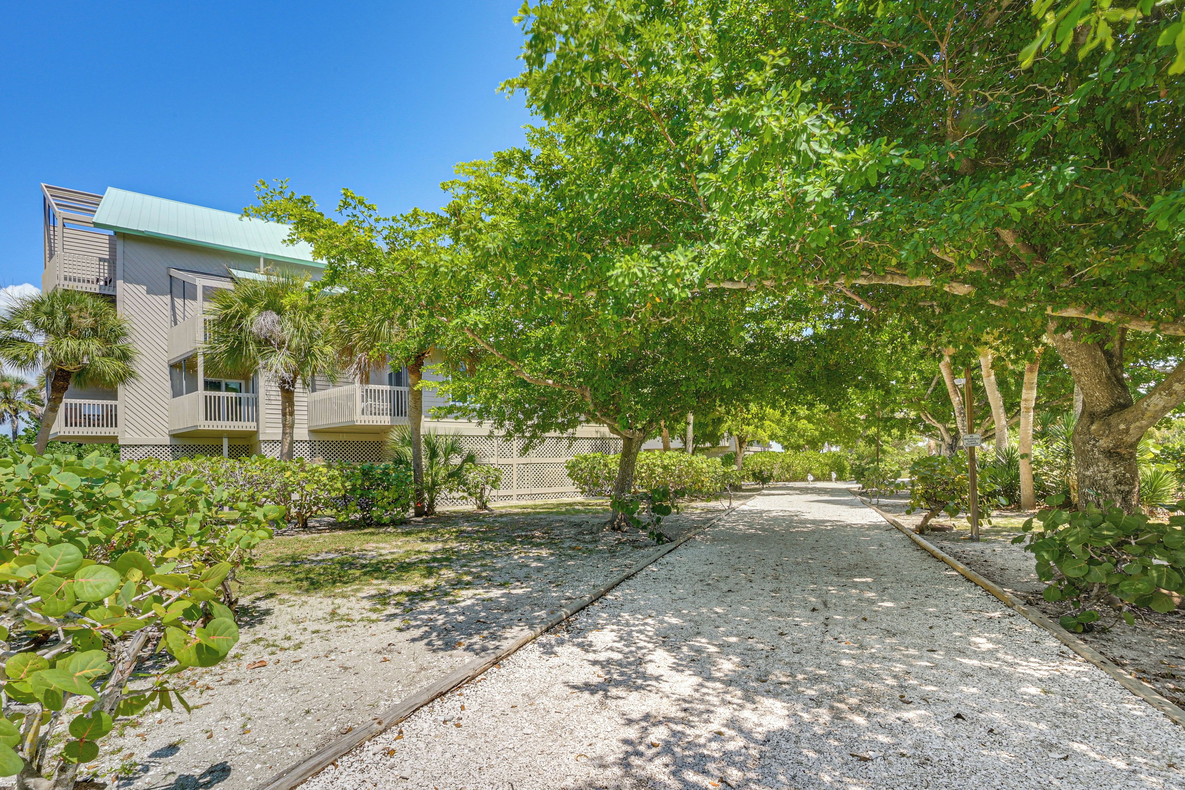 A pathway leading to a building with a green roof, surrounded by lush greenery and trees.