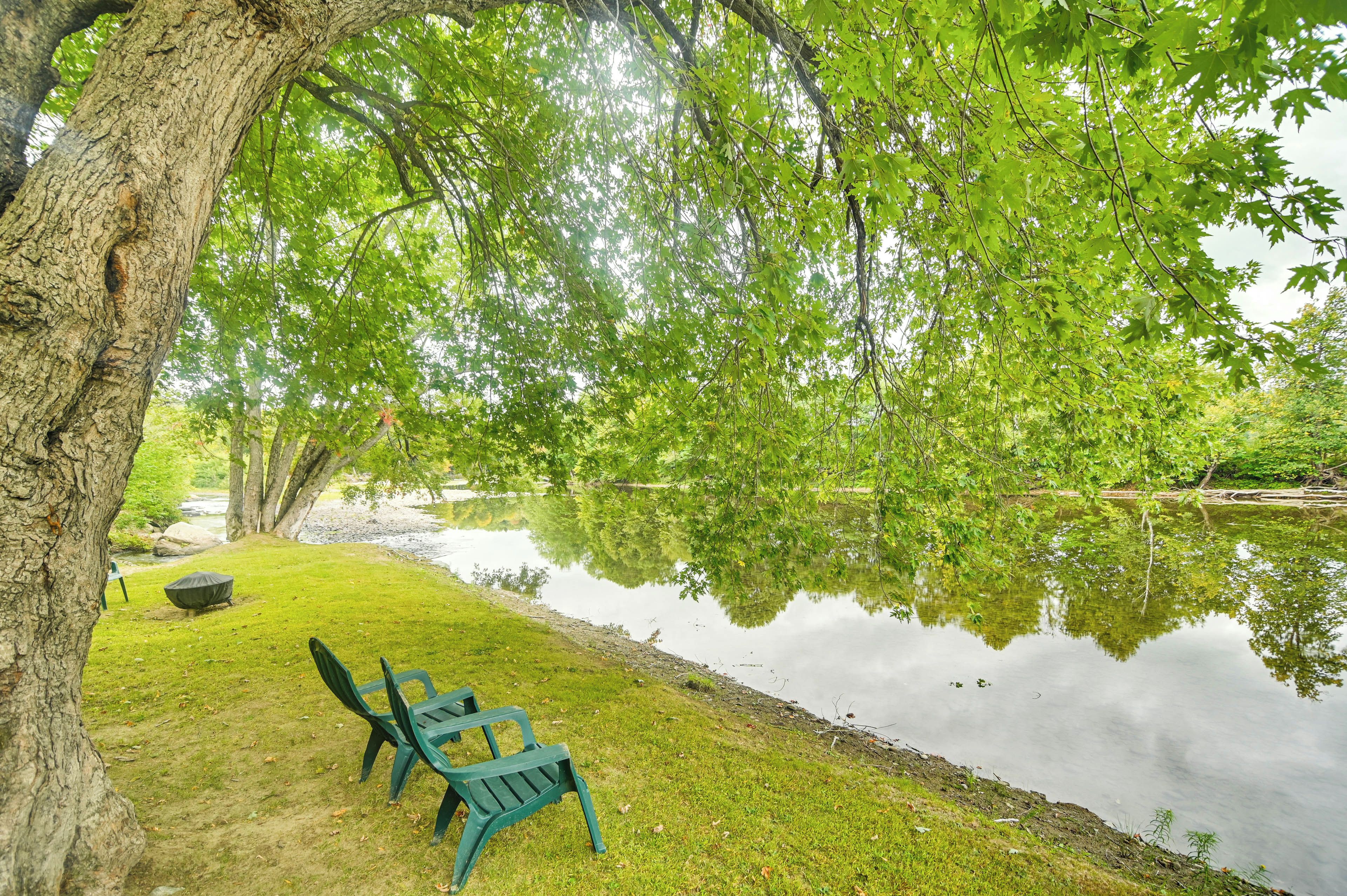 A tranquil lakeside setting with a bench and a picnic table under a large tree.