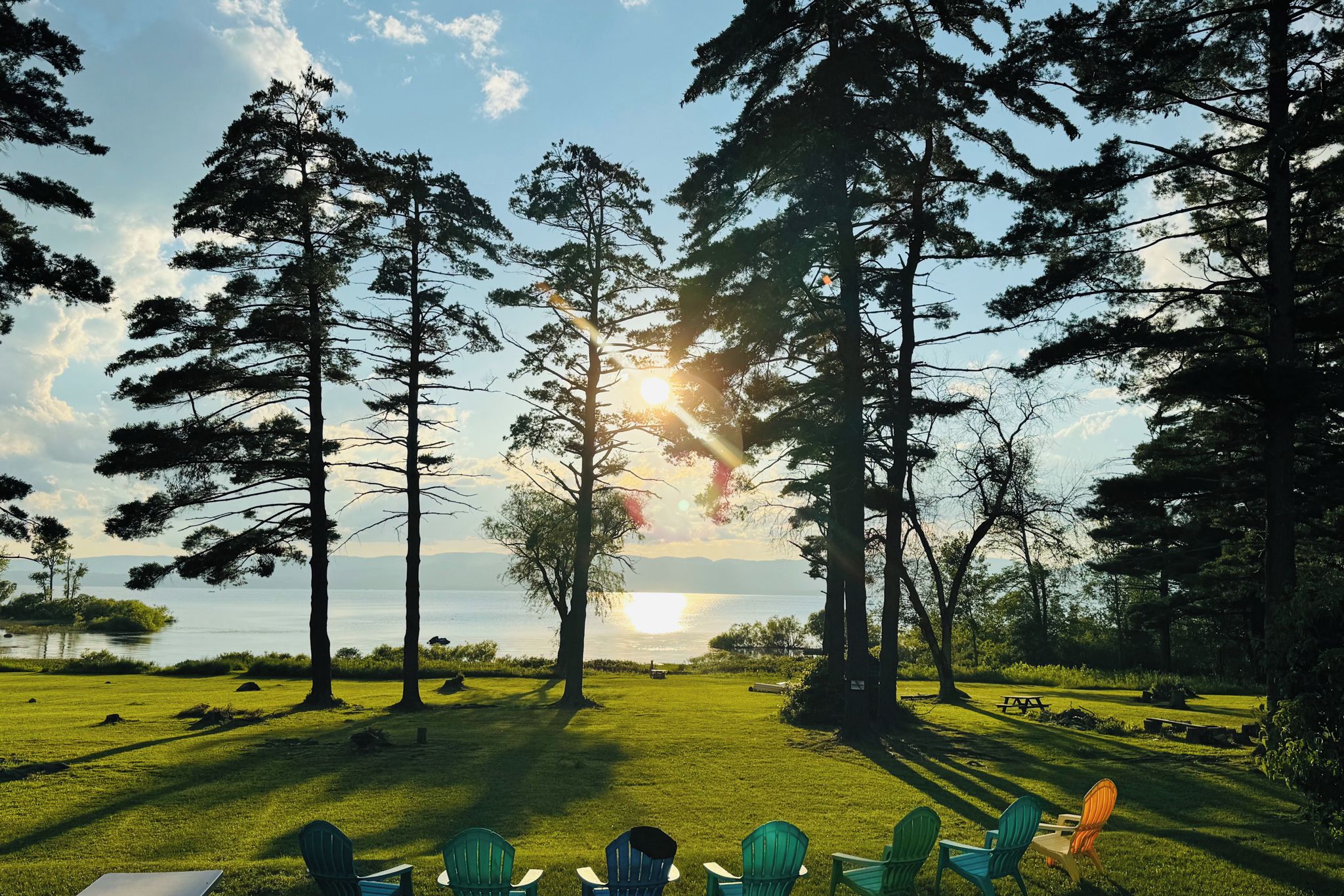 A grassy area with trees and a body of water in the background.