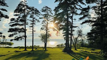 A grassy area with trees and a body of water in the background.
