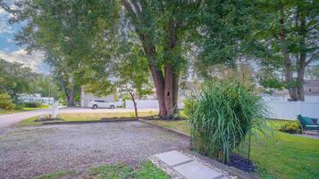 A residential outdoor area with a gravel path, a lawn, and a large tree.