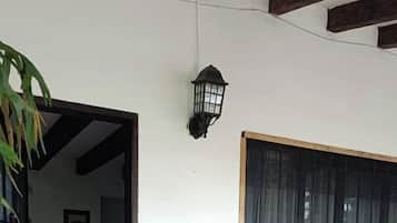Un patio con un muro de ladrillo, una ventana con cortinas, una silla y una planta en maceta.