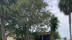 Unclassified image, 4 of 22, button - Cozy 2-bedroom house in gorgeous Hernando Beach (Hernando Beach)