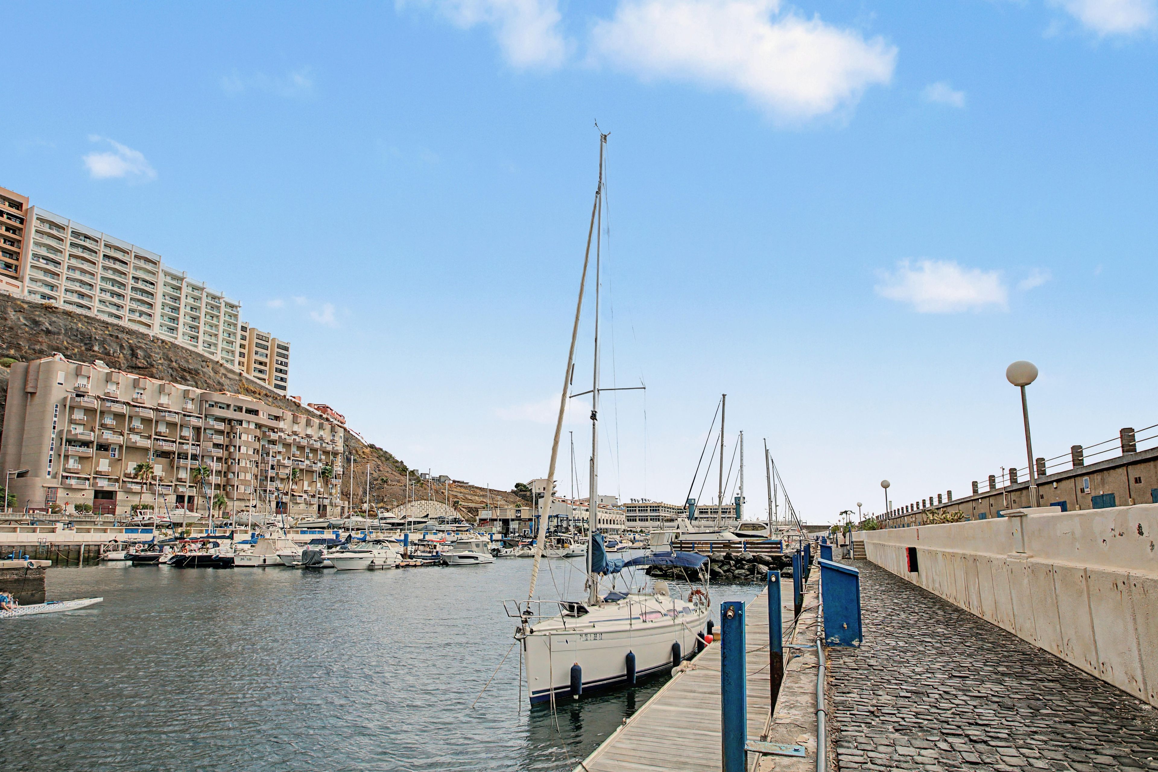 A marina with boats docked, a waterfront promenade, and a hillside residential area.