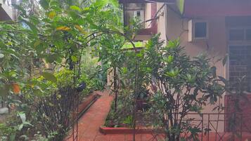 A narrow pathway flanked by lush greenery and a building with a tiled roof.