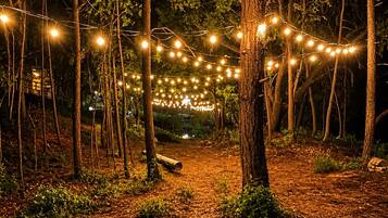 Un sendero en un bosque iluminado con luces de cuerda.