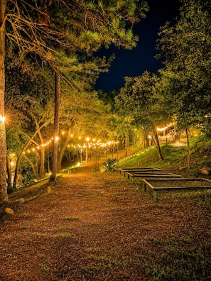 A nighttime outdoor area with string lights, benches, and trees.