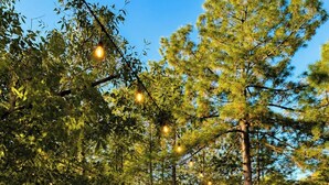 Luokittelematon kuva, 4 kautta 16, painike