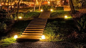 Un chemin menant à un bâtiment, bordé d’arbres et illuminé par des guirlandes lumineuses.