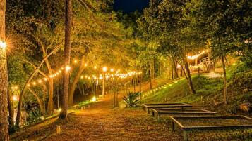 Un espace extérieur aménagé pour la nuit, avec des guirlandes lumineuses, des arbres et un chemin pavé.