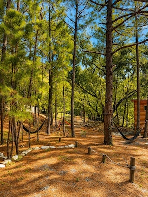 Une zone boisée avec un petit chalet en bois, un hamac et une aire de jeux.