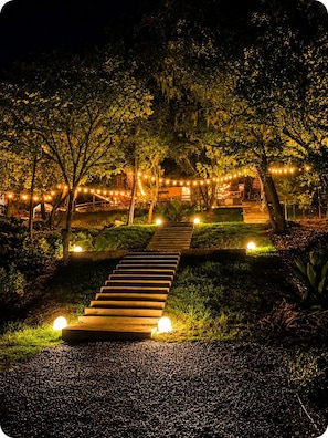 Camino exterior nocturno con escalones que conducen a un edificio, rodeado de árboles e iluminado por luces colgantes.