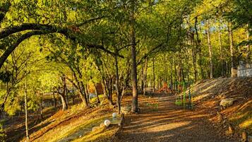 A park with a paved walkway, trees, and playground equipment.