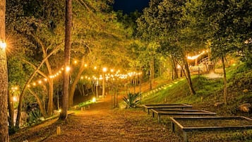 A nighttime outdoor area with string lights, trees, and a paved path.