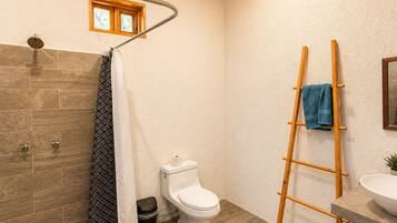 A bathroom with a shower, toilet, and a wooden ladder.