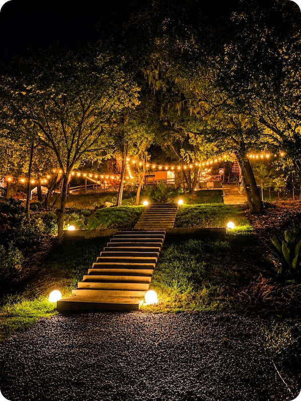A pathway leading to a building, surrounded by trees and illuminated by string lights.