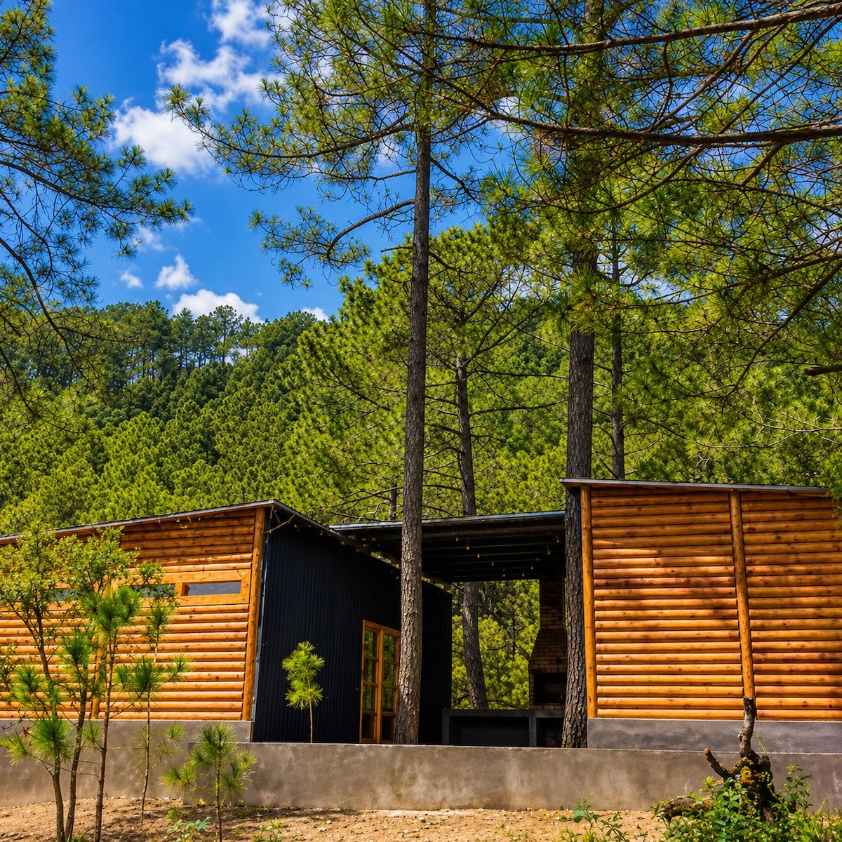 A cabin with a wooden exterior, a central door, and a view of a forested area.