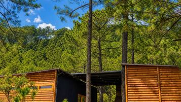 A cabin with a wooden exterior, a central door, and a view of a forested area.