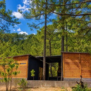 A cabin with a wooden exterior, a central door, and a view of a forested area.
