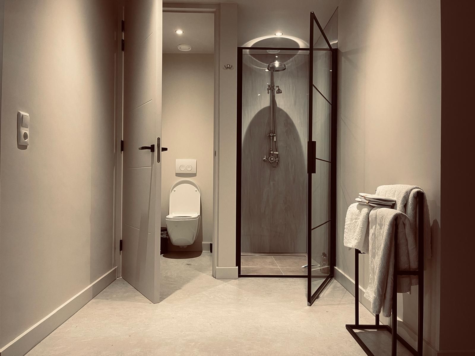 Une salle de bain moderne avec une douche à parois de verre, des toilettes et un porte-serviettes.
