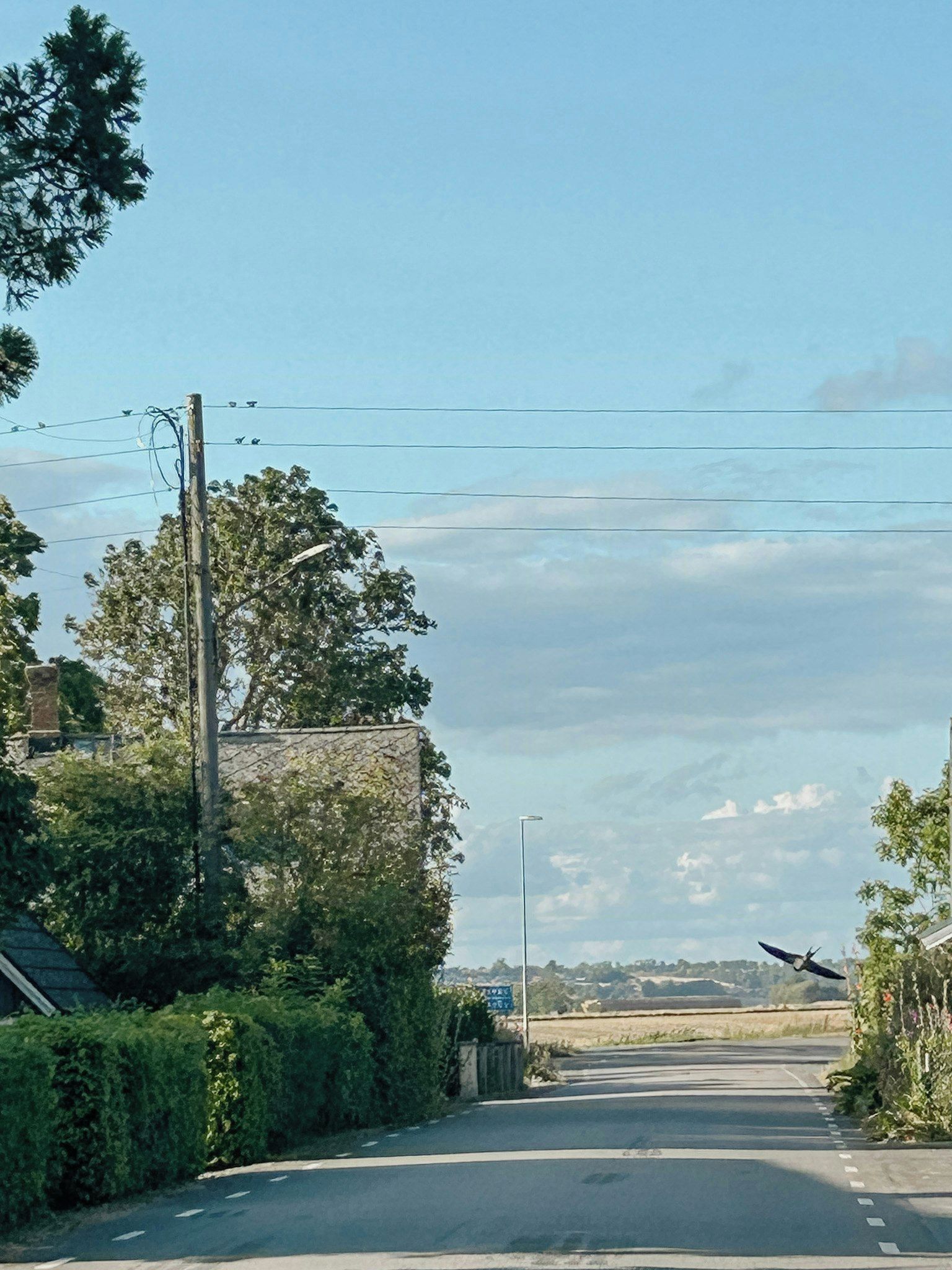 Un camino rural tranquilo con un muro de piedra a la izquierda y cielo despejado.
