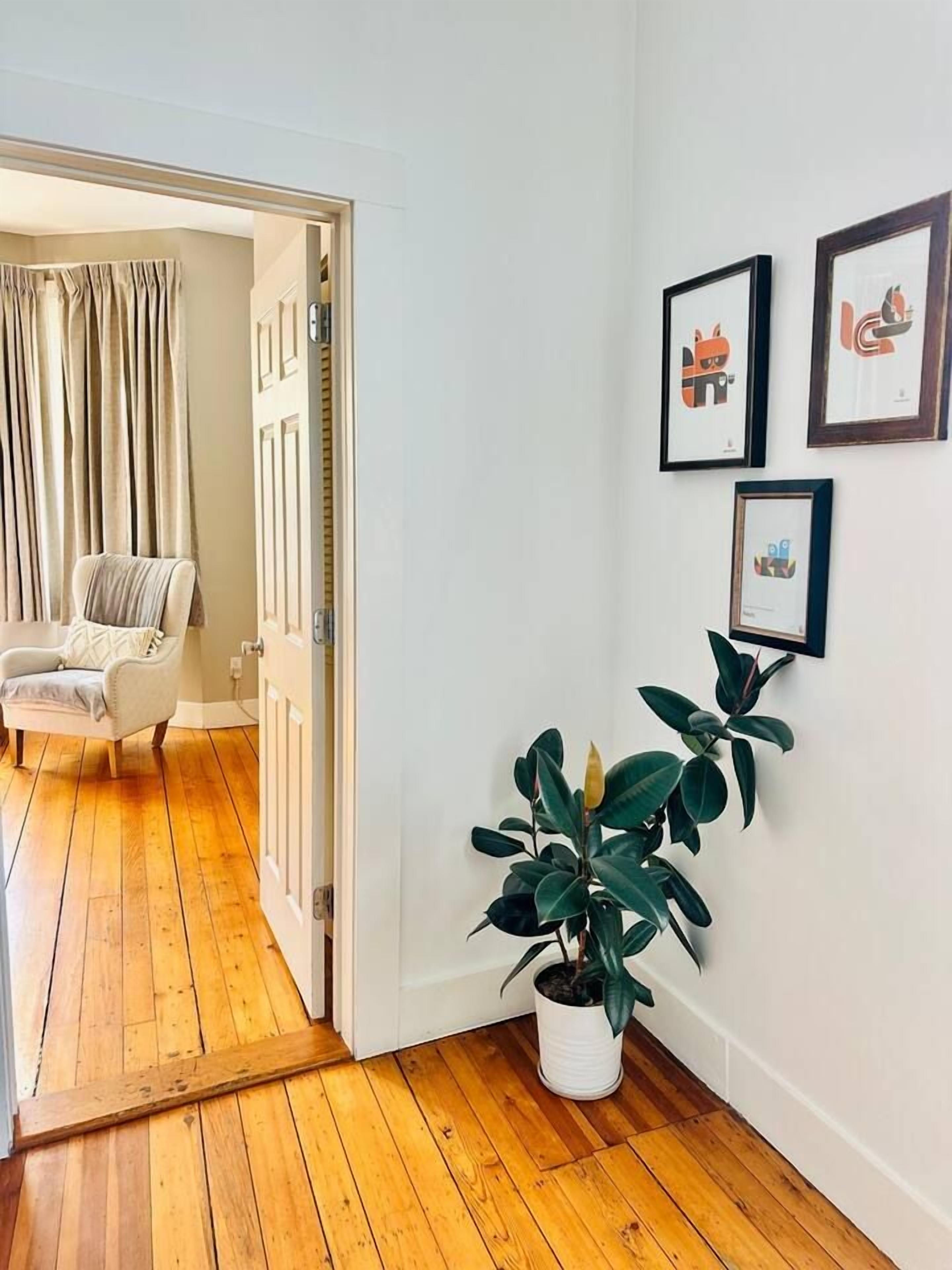 A hallway with wooden flooring, a potted plant, and framed artwork on the wall.