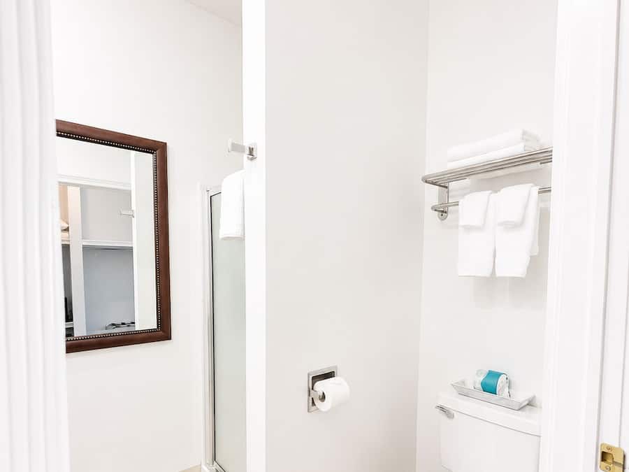 Un baño con inodoro, perchero, ducha y espejo.
