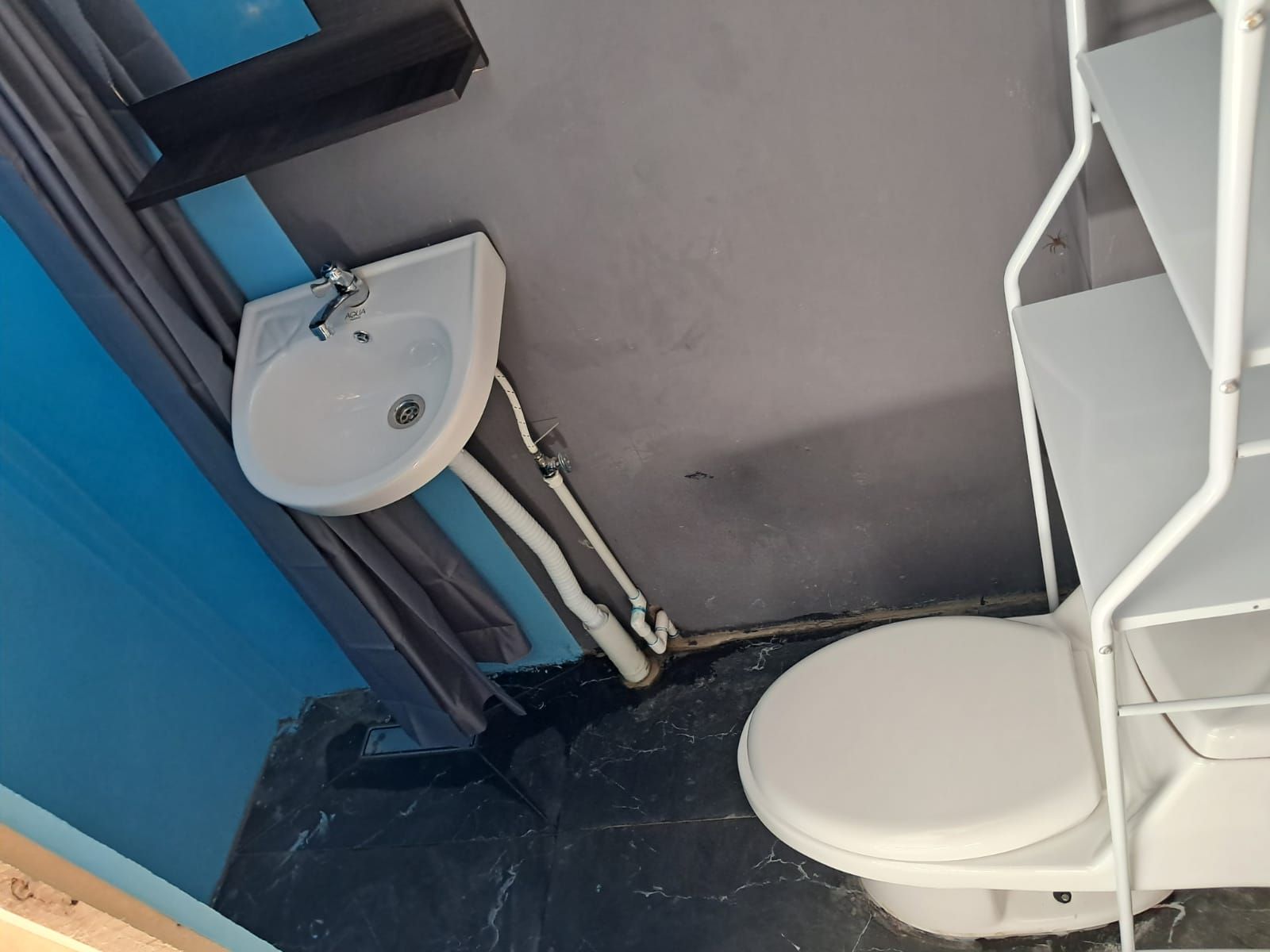 Un bagno con lavandino bianco, un water e zona doccia.