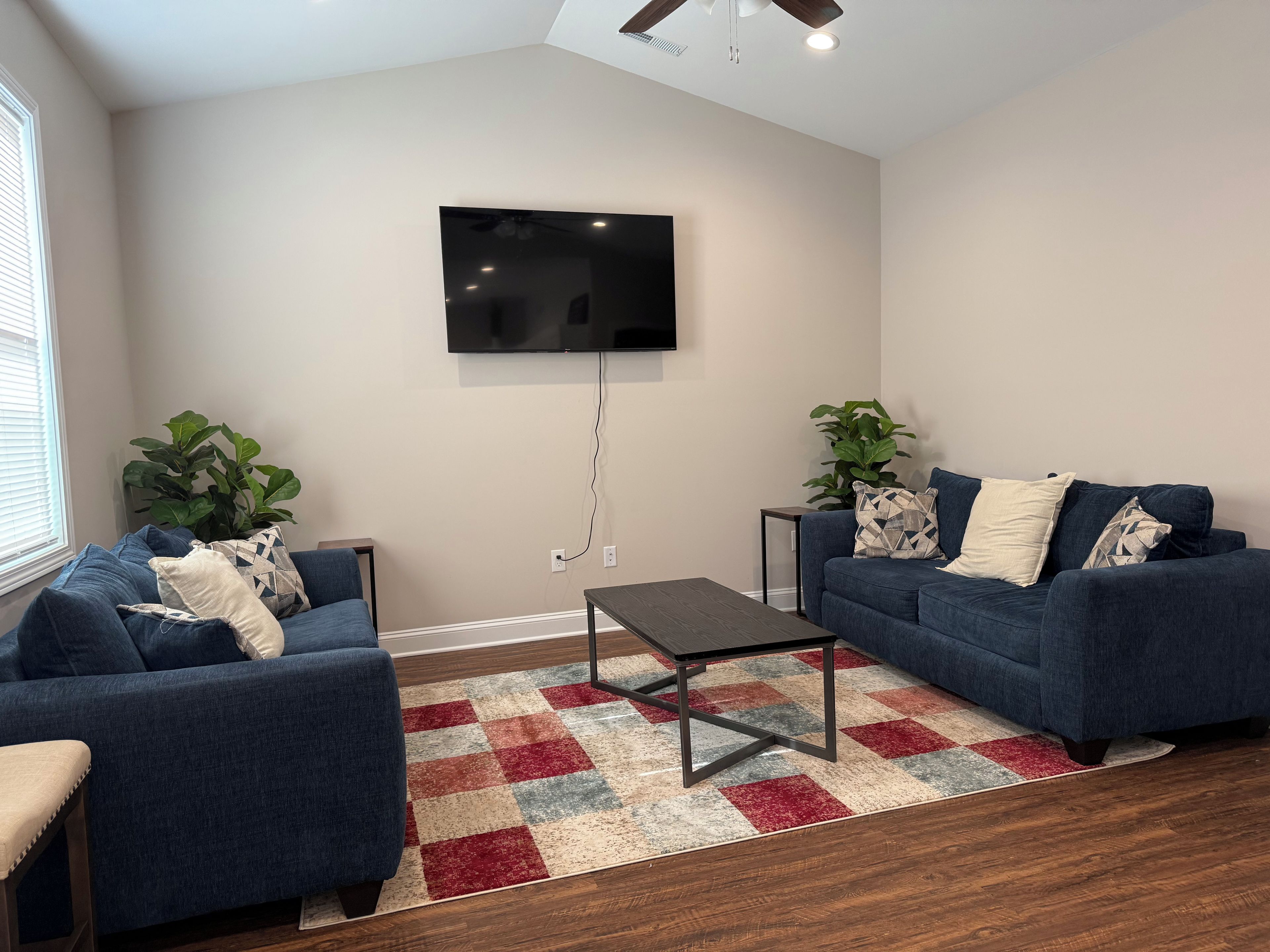 A living room with two sofas, a coffee table, a flat-screen TV mounted on the wall, and a large plant.
