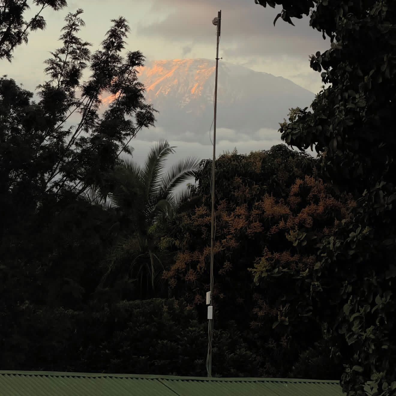 A mountain with a flagpole in the foreground, surrounded by dense foliage.